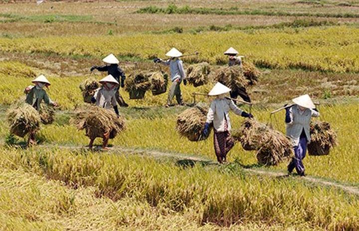 Hotspot Matrix: Cánh cửa vàng cho Freelancer trong kỷ nguyên Video Ngắn