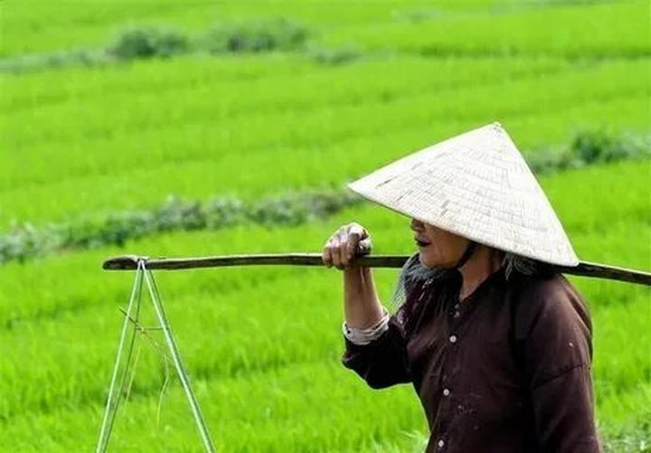 Khởi nghiệp Video Ngắn Vốn Ít, Lãi Cao cùng Hotspot Matrix